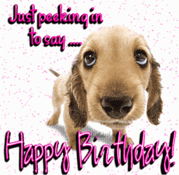 Happy Birthday dog.gif