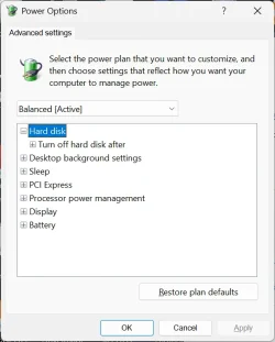 HP17 Win11.24H2.webp