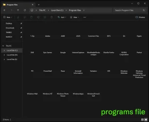 06 programfiles.webp