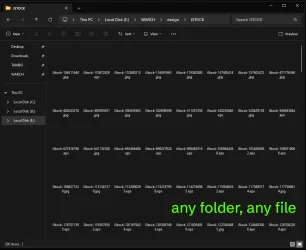 07 anyfolder.webp