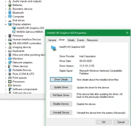 Device mgr, Display driver tab.webp