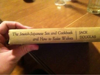 crazy book.webp