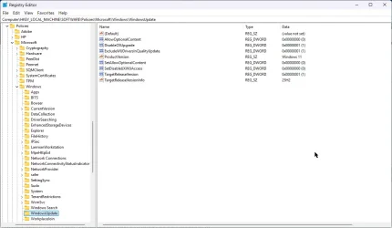 Registry screenshot.webp