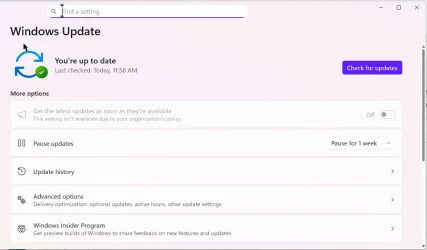 Image of Windows Update settings.webp