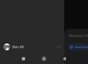 Screenshot_2025-10-16-04-35-09-945_com.deepseek.chat.webp