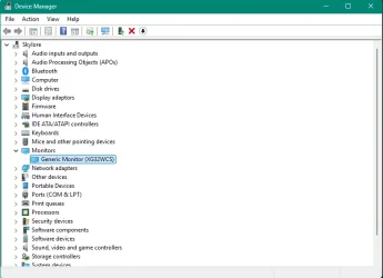 monitor 2.webp