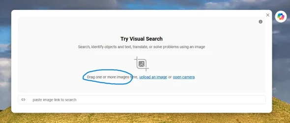 ImageSearch2.webp