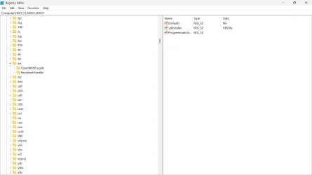 1.webp