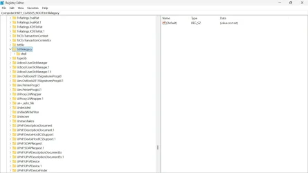 2.webp