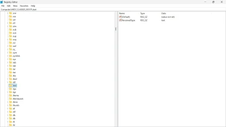 3.webp