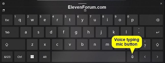 Touch_keyboard_mic_button_on.jpg