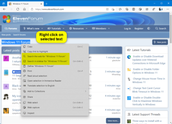 Search_context_menu_in_Microsoft_Edge-1.png