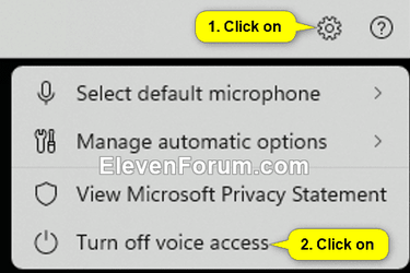 Voice_access.png