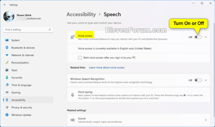 Voice_access_Settings-2.png