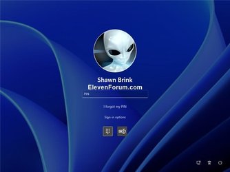 PIN_Sign-in_screen.jpg