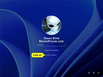 Account_PIN_sign-in_screen-1.jpg