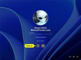 Account_PIN_sign-in_screen-2.jpg