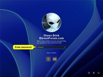 Account_PIN_sign-in_screen-3.jpg