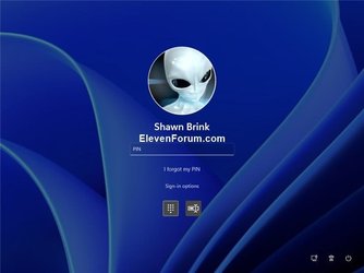 PIN_Sign-in_screen.jpg