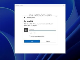Reset_PIN_sign-in_screen-7.jpg