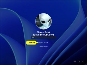 Reset_PIN_sign-in_screen-1.jpg