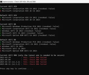 4.webp