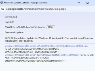 Problem installing Windows 11 