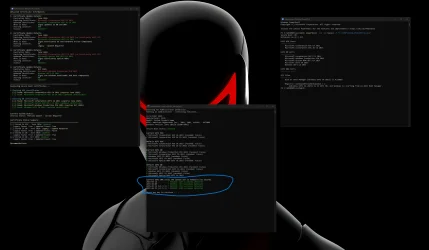 2.webp