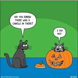 Halloween_20_480x480.webp