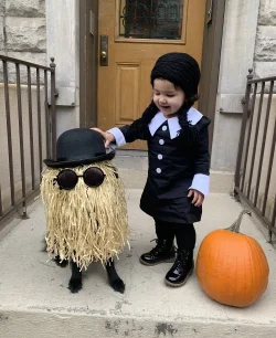 cousin-itt.webp