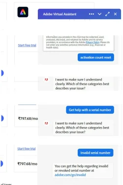 Chat.webp