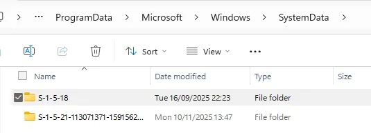 System Data folder.webp System Data folder.webp