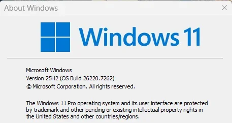 1763493924267.webp