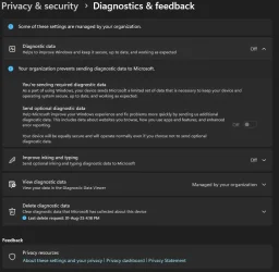 windows settins - privacy - diagnostics & feedback.webp
