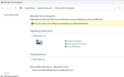 BitLockerPanel.webp