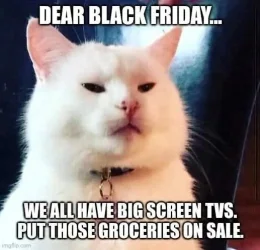 catblackfriday.webp