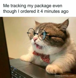 funny-black-friday-memes-11-67441ed6b15c5__700.webp funny-black-friday-memes-11-67441ed6b15c5__700.webp
