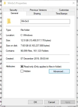 WinSxS sizes.webp