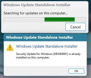 WinStandAloneInstaller_2025-11-30 13_58_11.webp