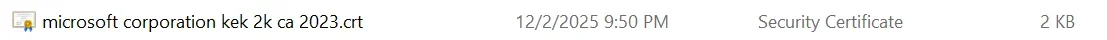 1764746681634.webp