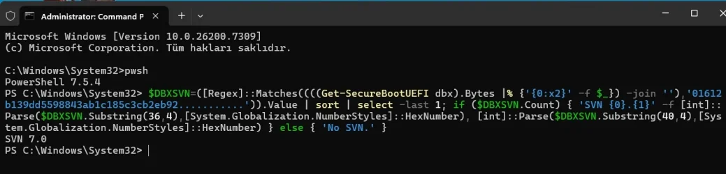 SVN.webp