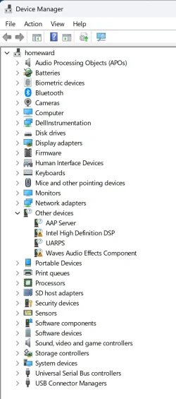 device_manager.webp