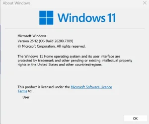 winver.webp