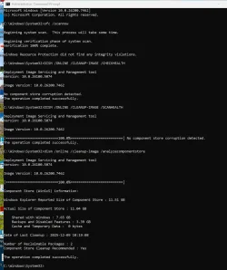 1765304496150.webp