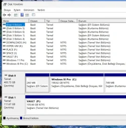 disk.webp