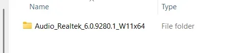 RT1.webp