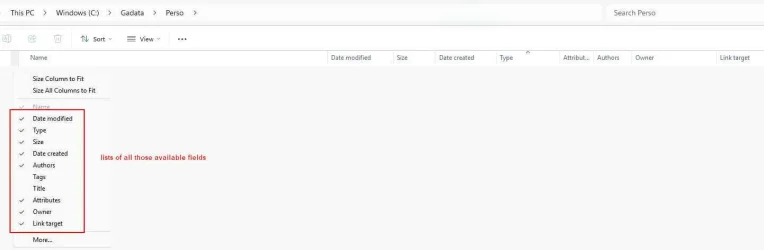20251216 Windows 11 Explorer fields JG.webp