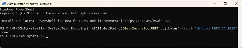 True.webp