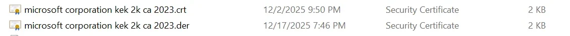 1766271022525.webp