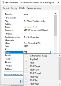 File Explorer - properties - details.webp